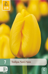 JUB X 7 Tulipa Novi Sun