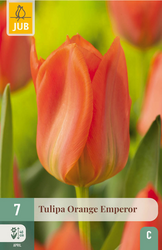 JUB X 7 Tulipa Orange Emperor