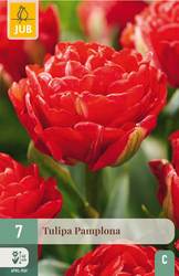 JUB X 7 Tulipa Pamplona