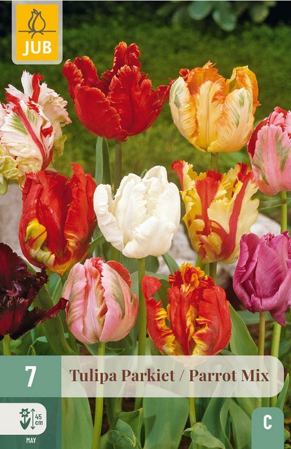 JUB X 7 Tulipa Parkiet Mix