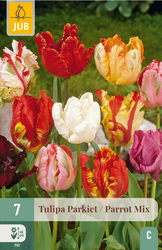 JUB X 7 Tulipa Parkiet Mix