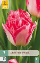 JUB X 7 Tulipa Pink Delight - afbeelding 2