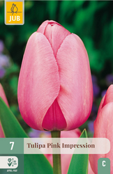 JUB X 7 Tulipa Pink Impression