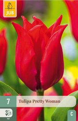 JUB X 7 Tulipa Pretty Woman - afbeelding 1