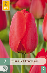 JUB X 7 Tulipa Red Impression