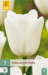 JUB X 7 Tulipa Royal Virgin