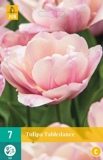 JUB X 7 Tulipa Tabledance