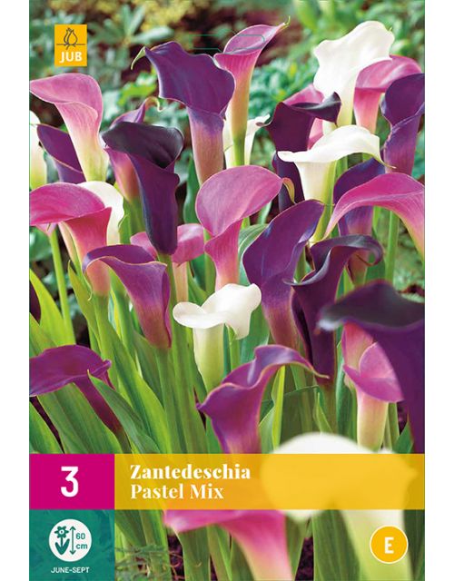 JUB Zantedeschia Pastel Mix 3 stuks