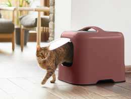 Kattenbakken & benodigdheden