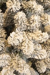 Black Box Trees Charlton kerstboom groen frosted TIPS 805 - h215xd127cm - afbeelding 2