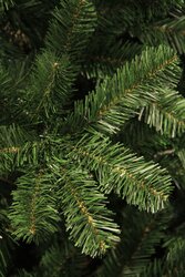 Black Box Trees Charlton kerstboom groen TIPS 220 - h120xd76cm - afbeelding 3