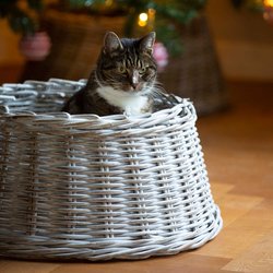 Kerstboomhuls Rotan White Wash 60x26cm - afbeelding 4