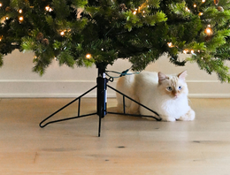 Kerstboomstandaarden