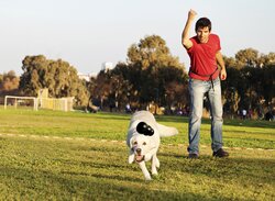 KONG HOND EXTREME RUBBER ZWART LARGE - afbeelding 4