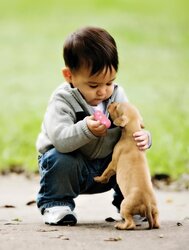 KONG HOND PUPPY LARGE   ROZE - afbeelding 3