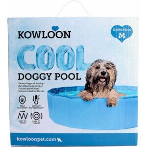 Kowloon Cool pool zwembad bl. bubble l100cm