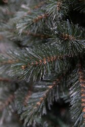 Triumph Tree Forest frosted pine kerstboom slim newgrowth blue TIPS 1030 - h230xd130cm - afbeelding 2