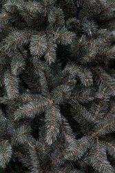 Triumph Tree Forest frosted pine kerstboom slim newgrowth blue TIPS 1030 - h230xd130cm - afbeelding 3