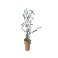 Decoris Larix Miniboom Papier Pot Groen/Wit 75cm