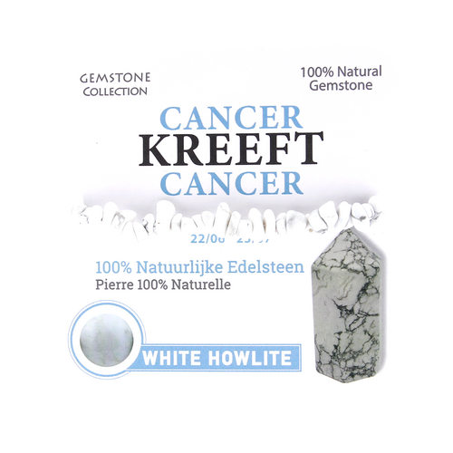 Likes shopping Armband kreeft