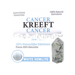 Likes shopping Armband kreeft