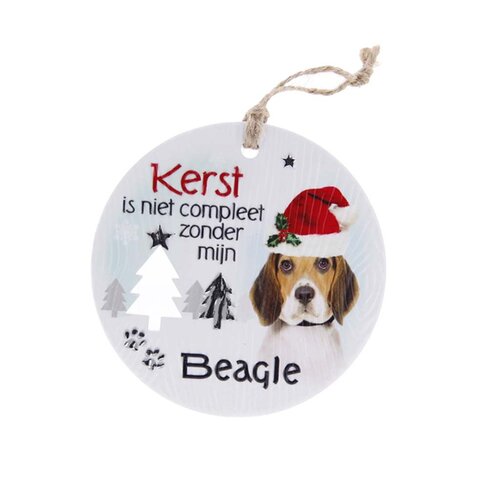 Likes shopping Hond Beagle