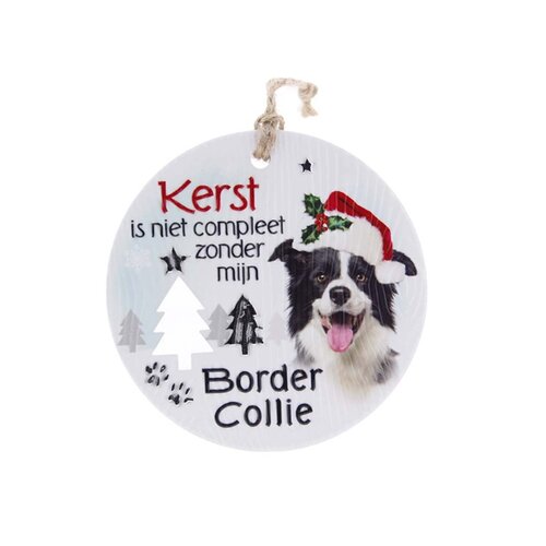 Likes shopping Hond Border Collie