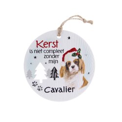Likes shopping Hond Cavalier