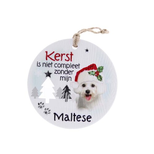 Likes shopping Hond Maltese