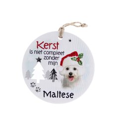 Likes shopping Hond Maltese