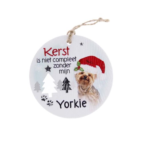 Likes shopping Hond Yorkie