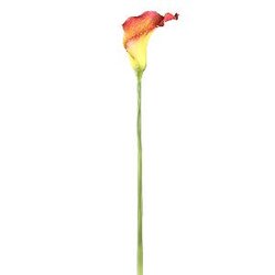 PTMD Lily Flower orange yellow calla lily spray