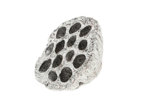 Lotus glitter 8-10cm zilver