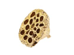 Lotus grote glitter 8-10cm goud