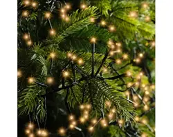 Lumineo Cluster twinkle led l6m-768l klassiek warm - afbeelding 3