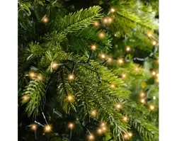 Lumineo LED compact lights flash 1600cm, 750 lampjes groen/klassiek warm - afbeelding 3