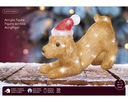 Lumineo LED hond acryl steady buiten - afbeelding 2