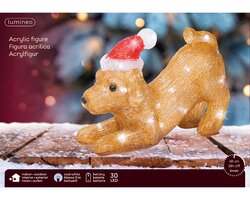 Lumineo LED hond acryl steady buiten L.12cm x W.29cm x H.20cm - afbeelding 2
