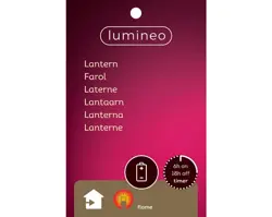 Lumineo LED lantaarn plastic fire flame effect BO binnen 3ass - afbeelding 2