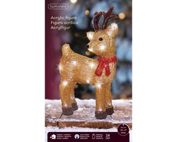 Lumineo LED rendier acryl steady buiten - afbeelding 2