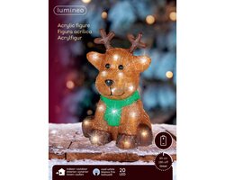 Lumineo LED rendier acryl steady buiten - afbeelding 2