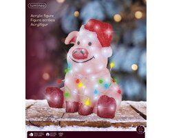 Lumineo LED varken acryl steady buiten - afbeelding 2