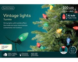 Lumineo LED vintage lights xl 8 functie twinkel effect buiten - afbeelding 2