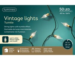 Lumineo vintage light twinkel 50 led-4,9m warm wit-groen - afbeelding 1