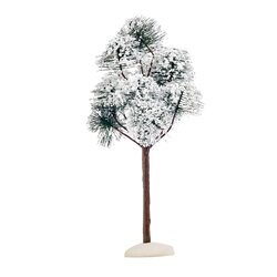 Luville Mountain pine - h23xd10,5cm