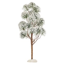 Luville Mountain pine - h30xd15cm