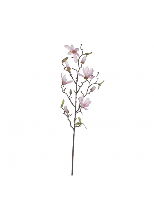 Magnolia Roze - L75Xcm