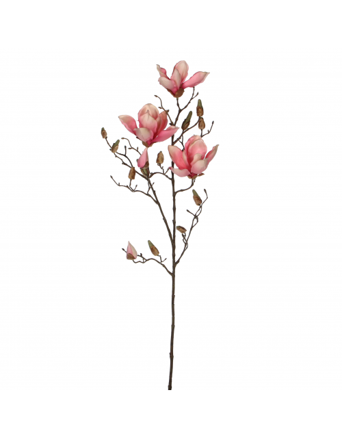 Magnolia Roze - L88Xcm
