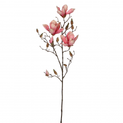 Magnolia Roze - L88Xcm
