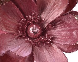 Magnoliaclip pes d22h5cm a3 - afbeelding 4